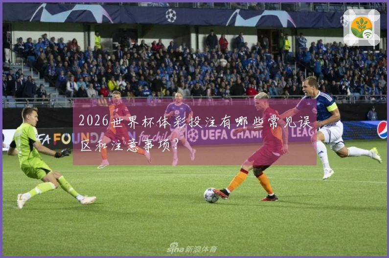 2026世界杯体彩投注有哪些常见误区和注意事项？