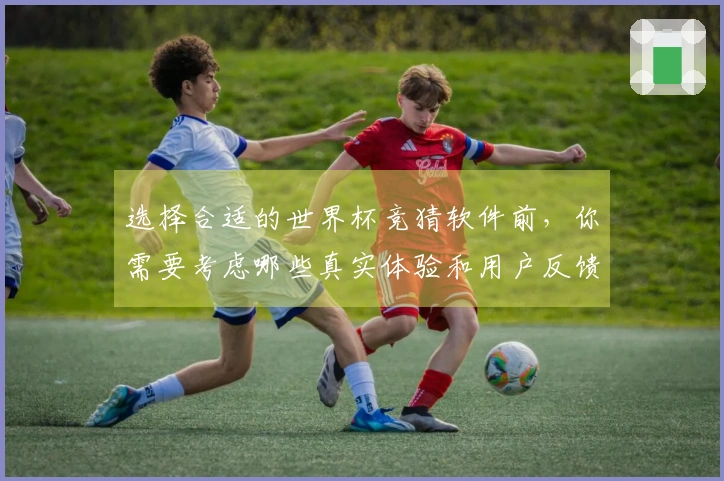 选择合适的世界杯竞猜软件前，你需要考虑哪些真实体验和用户反馈
