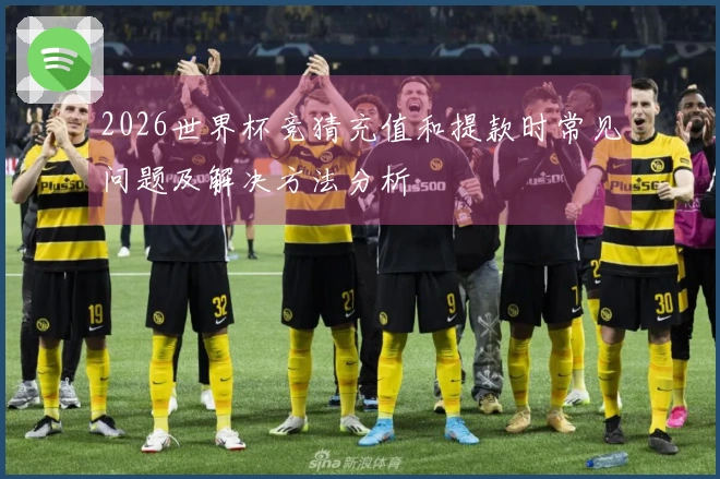 2026世界杯竞猜充值和提款时常见问题及解决方法分析